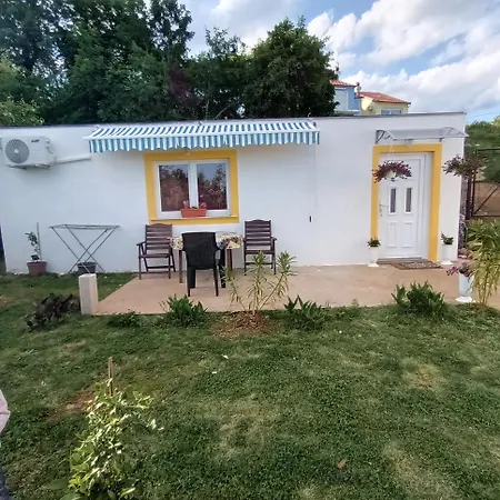 Leona Bregi Donji Rukavac